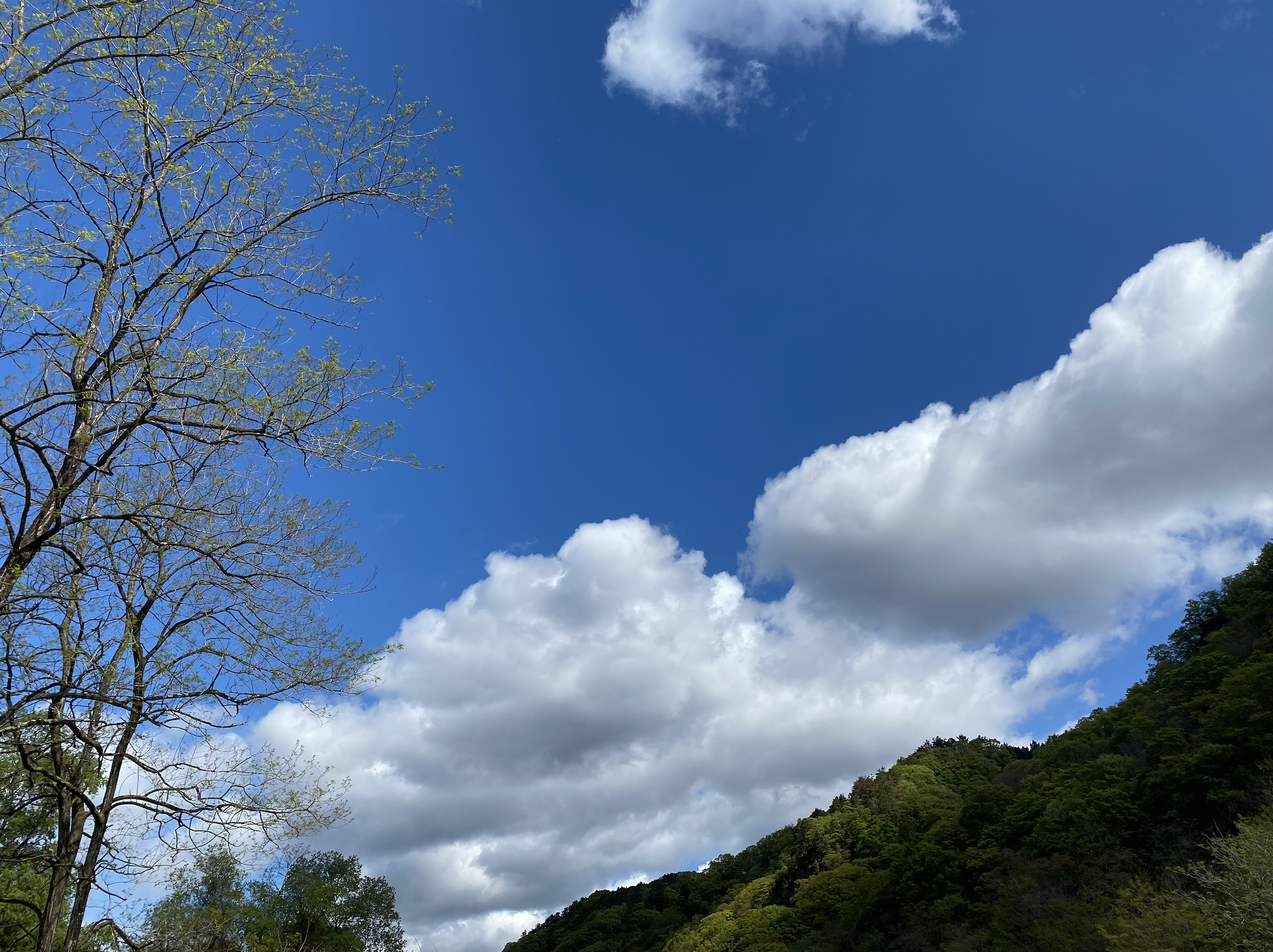 空を見上げて涙を堪えて 幸せの達人になる